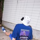 돌아온켄터키 이미지