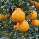 해복농장 이미지