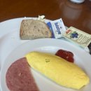 롯데시티호텔 구로 | 롯데시티호텔 구로 호텔 조식뷔페 내돈내산 후기