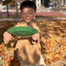 뫼골공원 이미지