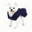 아이엠독 이미지