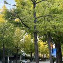 (주)사랑채 | 서울 무료전시 추천 | 청와대 사랑채 전시 후기 &amp; 관람 포인트