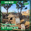 제주 용담동 유적 | [보멍들으멍] 탐라의 뿌리를 찾아 제주 용담동 유적