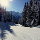 연말정산 알차게 준비하는 꿀팁 대방출 | 지산리조트 완전 정복! 초보 스키보드 강습 A to Z 꿀팁 대방출이요