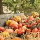 미싱으로 쉬운 옷 만들기 이미지