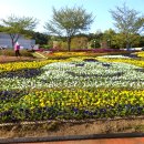 대공원대로, 대공원광장대로 이미지