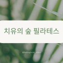 치유의숲필라테스