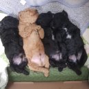 강동-길동-4488 이미지