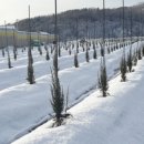 유계리 농장 이미지