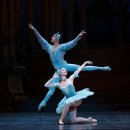 서초대로26길 19 (1) 이미지