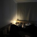 홍대스타일게스트하우스 | 홍대게스트하우스, 하디 게스트하우스 숙박 솔직 후기