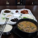 녹차골 보성식당 이미지