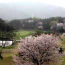 파크밸리 골프클럽 이미지