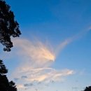 하늘그림 이미지