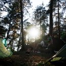 길따라행운 이미지