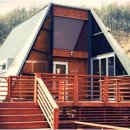 세모난나무 이미지