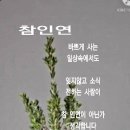 창곡천 이미지