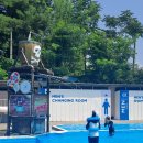 육림풀장 이미지