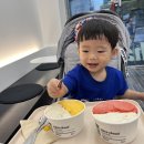 직접 고른 재료로 만드는 깊은 풍미 프랑스 고급 아이스크림 글라쇼 목동점