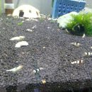 킹콩아쿠아 이미지