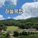 하늘애견 | 대관령 하늘목장 입장료 트랙터 애견동반 체험 솔직후기