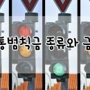 ◇ 교통범칙금 종류와 금액 알고가세요~! ◇ 이미지