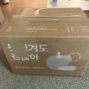 어글리어스 마켓, 못난이 채소 첫 배송 후기