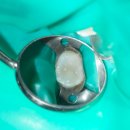 큐치과의원 이미지