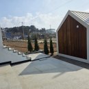 몽야 338 이미지