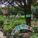 서늘선흘 이미지