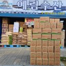 영희네수산물 이미지