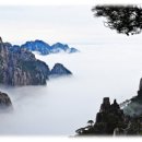 수동중학교 이미지