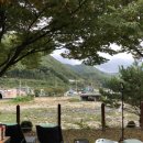 단양농협 대강지점 이미지