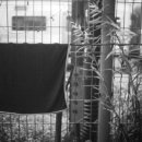 용산-239 이미지