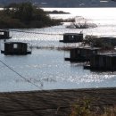 송전2리 이미지