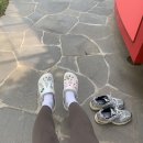 파크중기 | 임신 중기증상 16주~18주 후기 (소양증,태동,배크기,성별공개,젠더리빌파티)