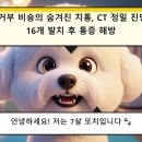 카카오 동물병원 | 광주 동물병원 개 치료 후기 — 금호동물병원