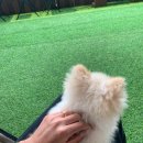 오미네커피 이미지