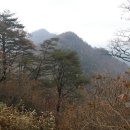 매봉산2 이미지