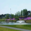 보라컨트리클럽 이미지