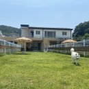 낄낄아놀자 이미지