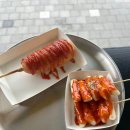 팻존애견
