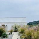 스테이 가정집 | 내돈내산) 아이와 함께하는 여행 _ 스테이가정집 _ 춘천