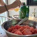 아갤러리 이미지