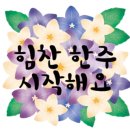 (유)우리주유소 이미지
