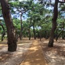 송림숲화장실 이미지