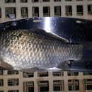 대요낚시터 이미지