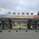 유엔가구 | 부산박물관 조선의 기록과 문화 만세에 전하노니 다녀온 후기!