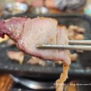 돈우팜 이미지
