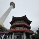 용두산공원 | [내돈내산] 용두산공원 카페 용두다방 다녀온 후기